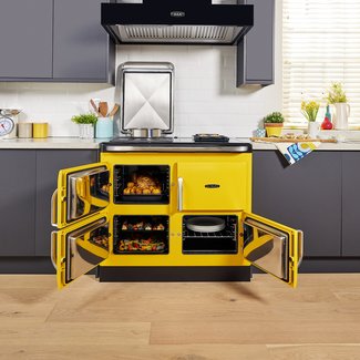 Rayburn Ranger Sunshine ovens open